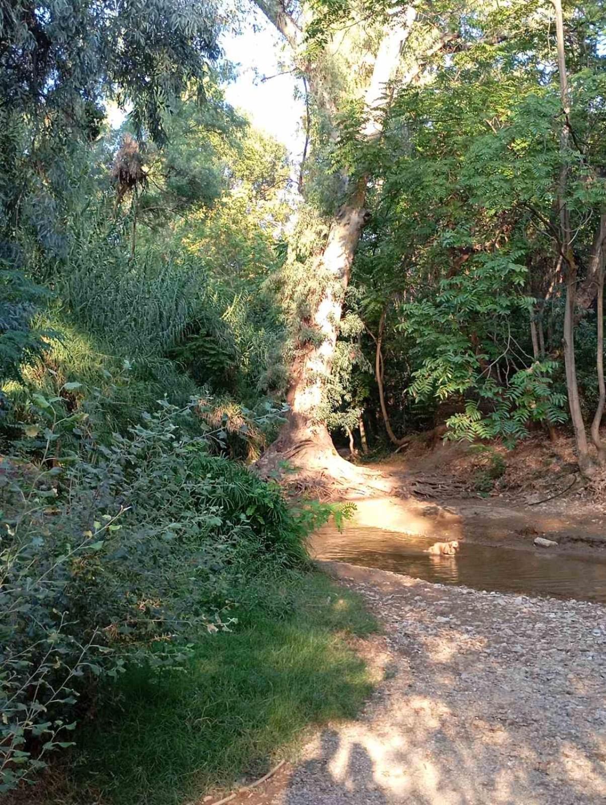 Διαμέρισμα Studiojoy4Stay Στο Χαλάνδρι Athén Kültér fotó